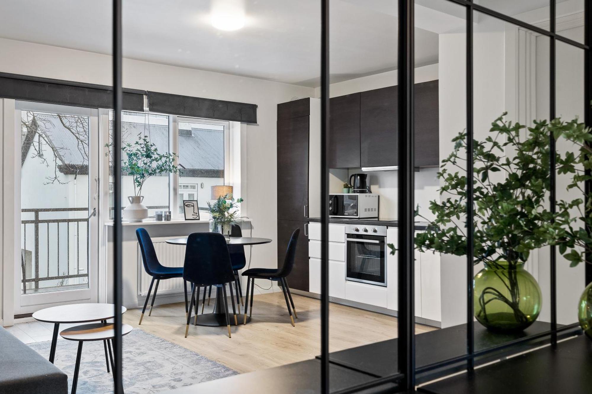 Lokastigur Charming And Inviting Apartment 雷克雅維克 外观 照片
